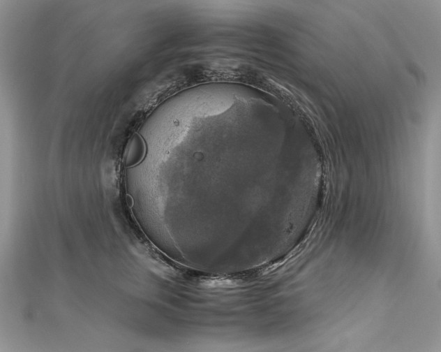 X0000113140759200909041208