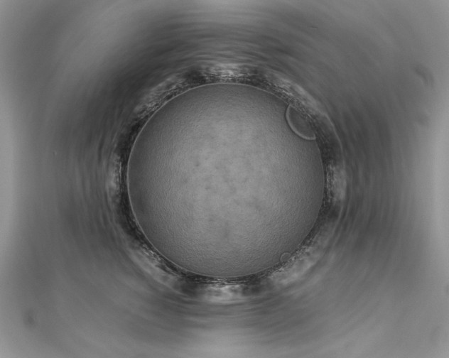 X0000113140760200909041208
