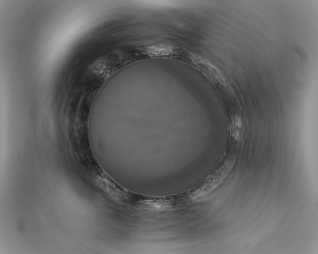 X0000113140763200909041208