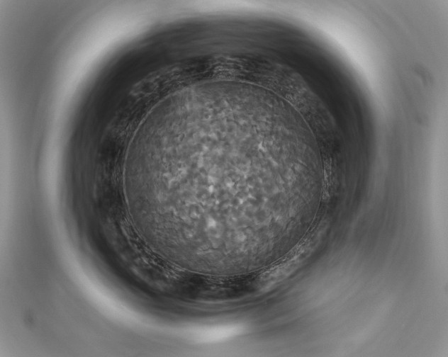X0000113140765200909041208