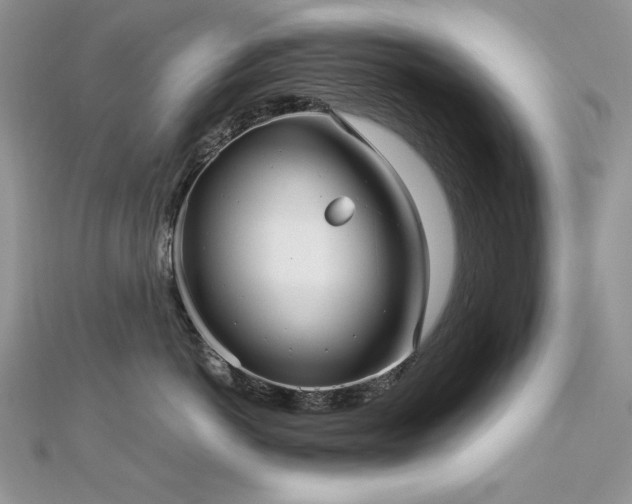 X0000113140766200909041208