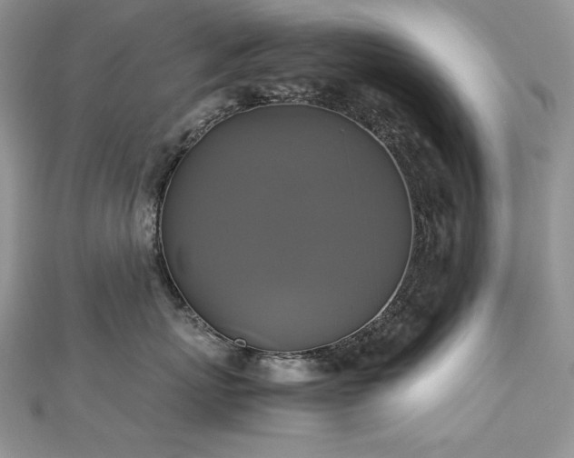 X0000113140767200909041208