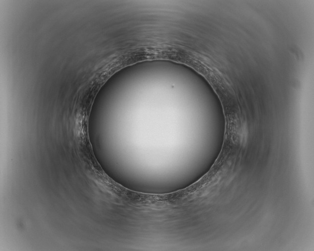 X0000113140770200909041208
