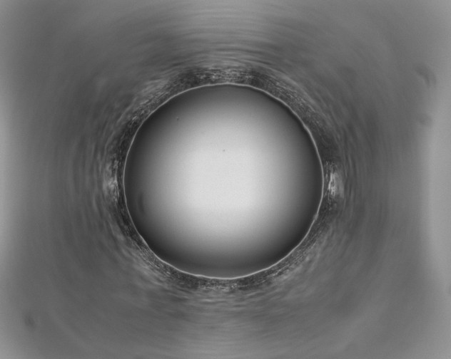 X0000113140771200909041208