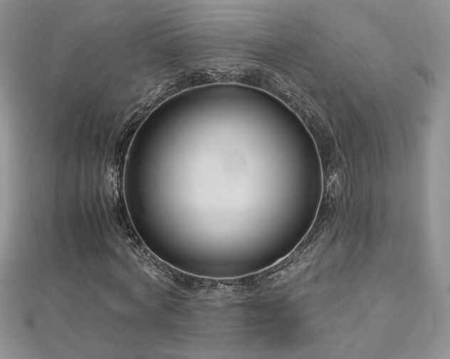 X0000113140772200909041208