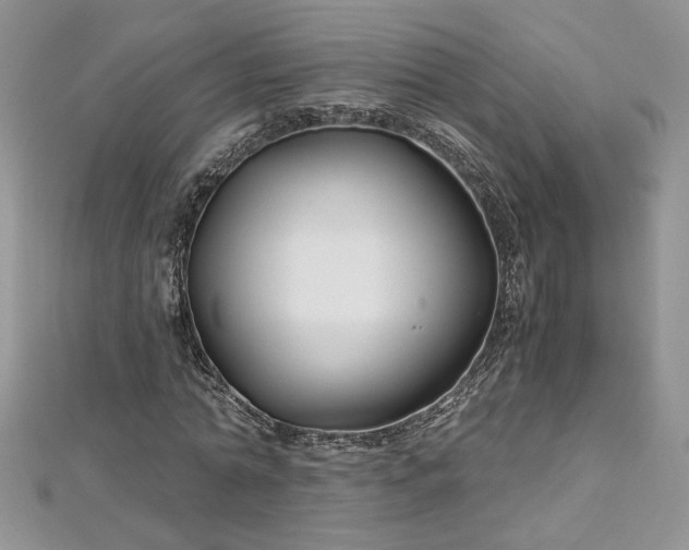 X0000113140774200909041208