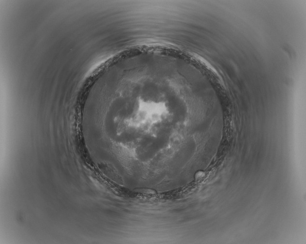 X0000113140775200909041208