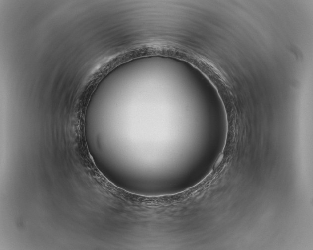 X0000113140776200909041208
