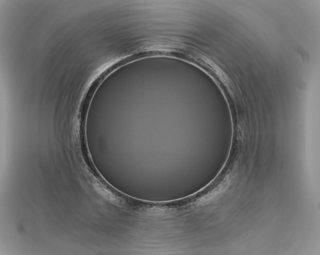 X0000113140779200909041208