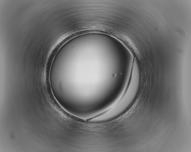 X0000113140780200909041208