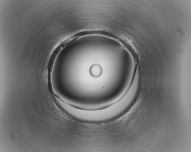 X0000113140781200909041208