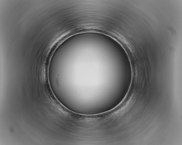 X0000113140782200909041208