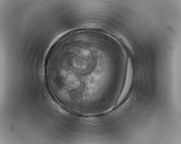 X0000113140784200909041208