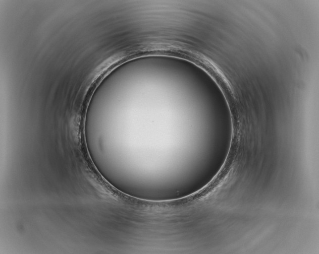 X0000113140786200909041208