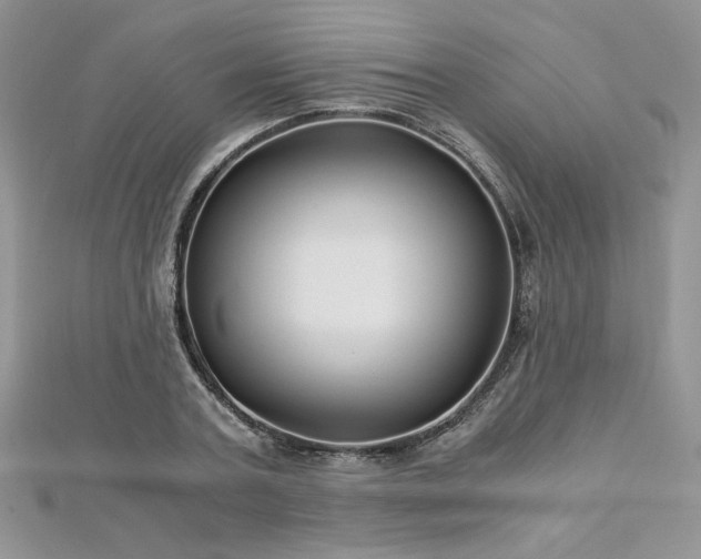 X0000113140787200909041208