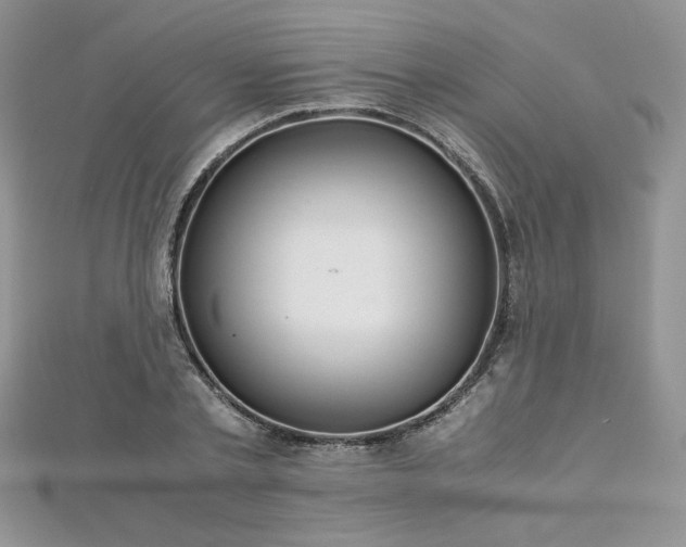 X0000113140789200909041208