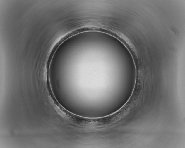 X0000113140791200909041208