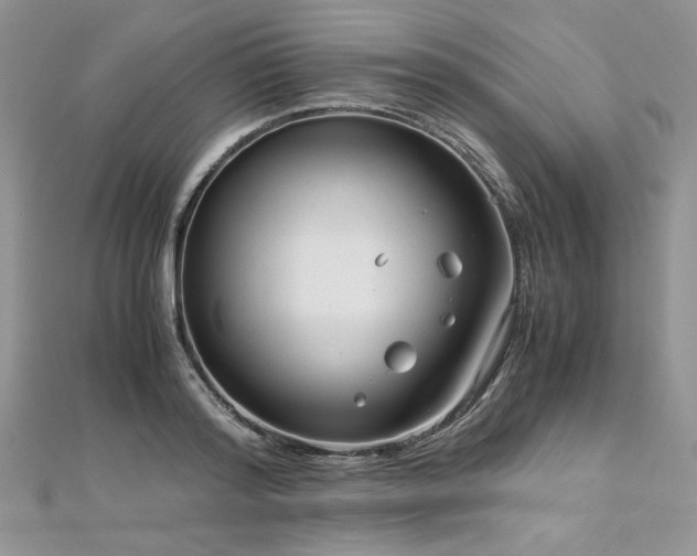 X0000113140796200909041207