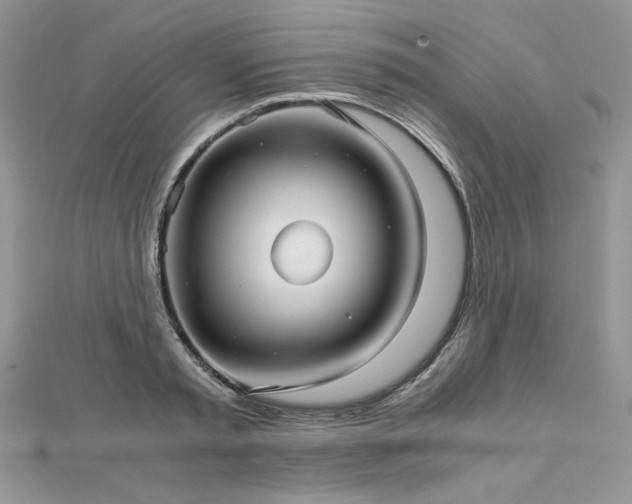 X0000113140797200909041207