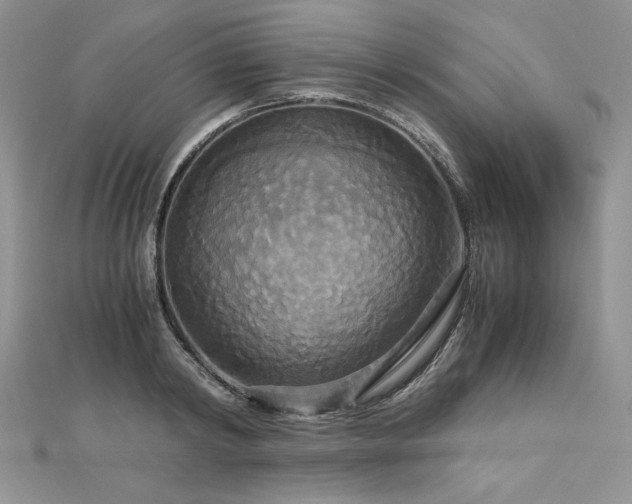 X0000113140798200909041207