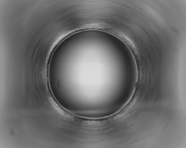 X0000113140800200909041207