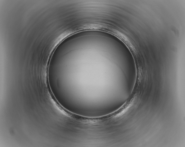 X0000113140802200909041207
