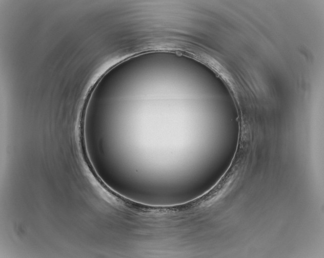 X0000113140803200909041207