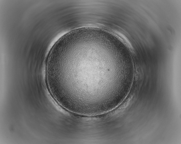 X0000113140804200909041207