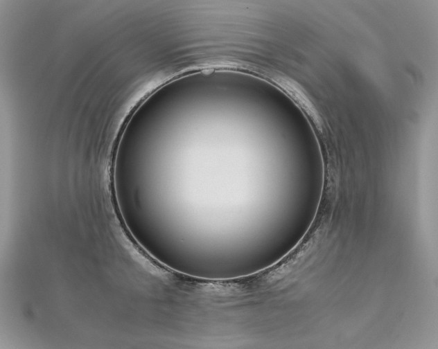 X0000113140805200909041207