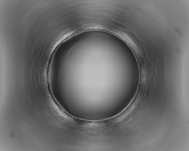 X0000113140806200909041207