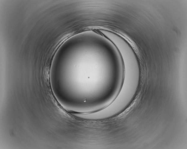 X0000113140809200909041207