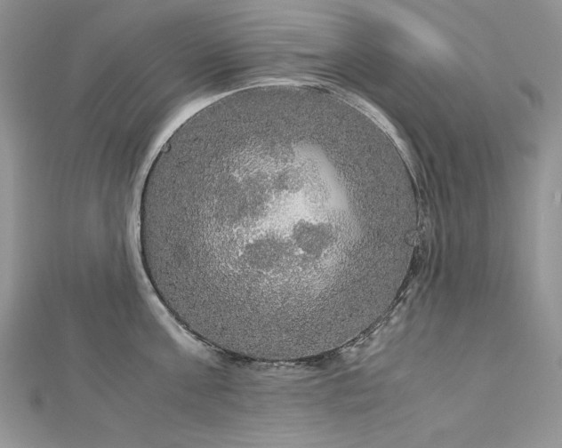 X0000113140811200909041207