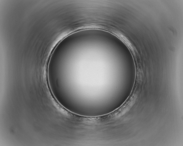 X0000113140813200909041207