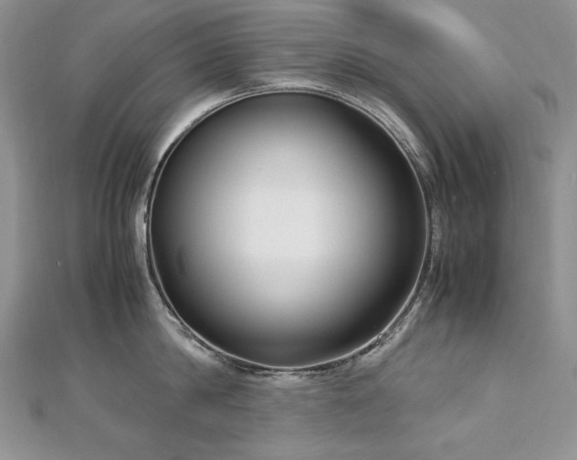 X0000113140814200909041207