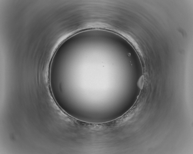 X0000113140815200909041207