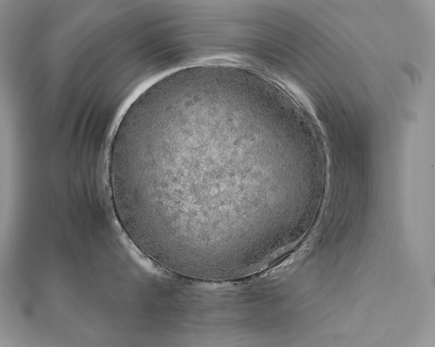 X0000113140816200909041207