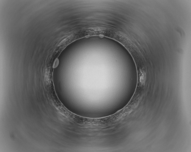 X0000113140819200909041207