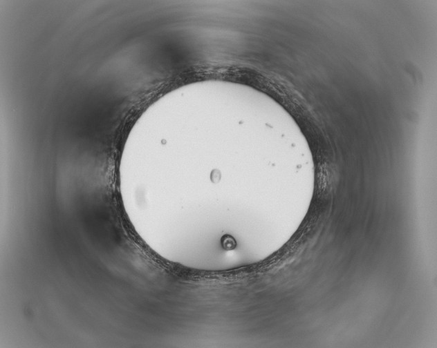 X0000113140820200909041207