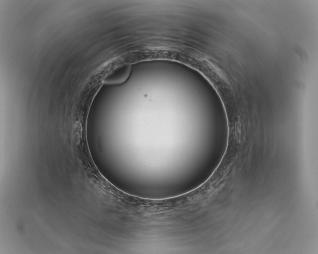X0000113140821200909041207
