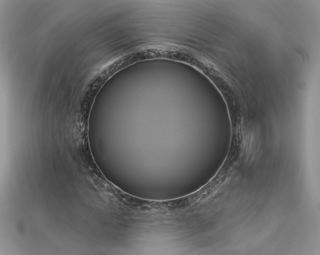 X0000113140822200909041207