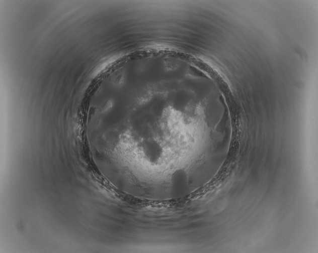 X0000113140823200909041207