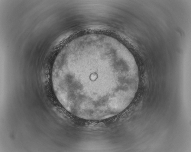 X0000113140824200909041207