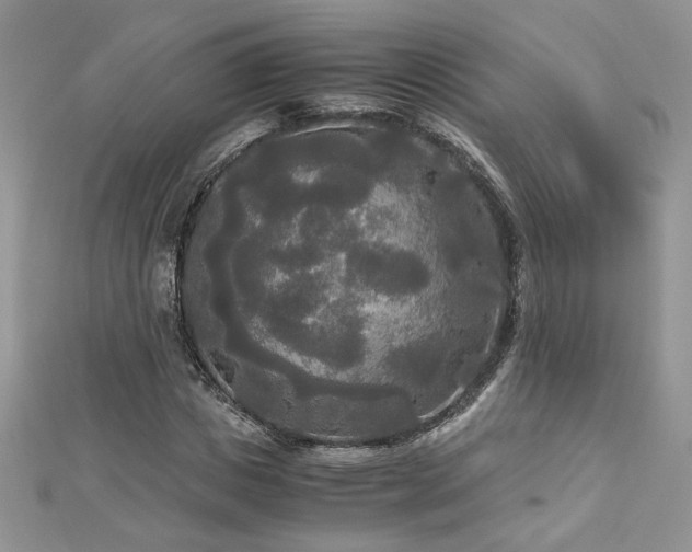 X0000113140825200909041207
