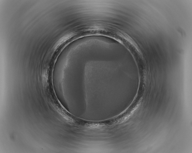 X0000113140826200909041207
