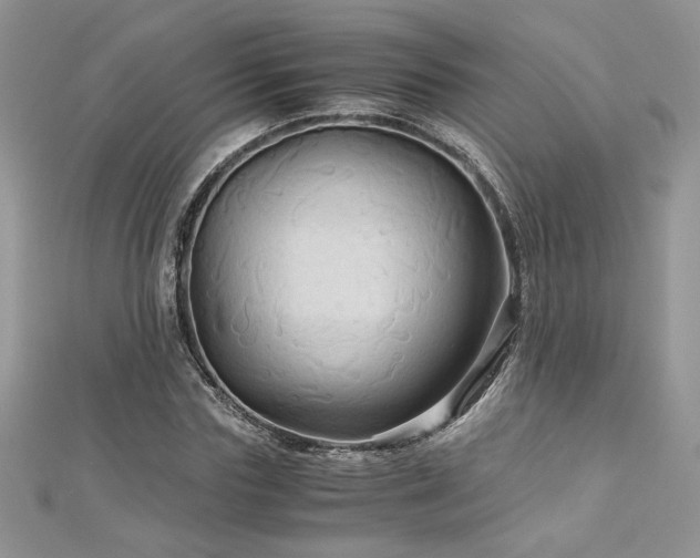 X0000113140827200909041207
