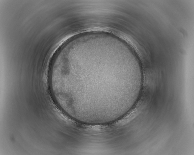 X0000113140828200909041207