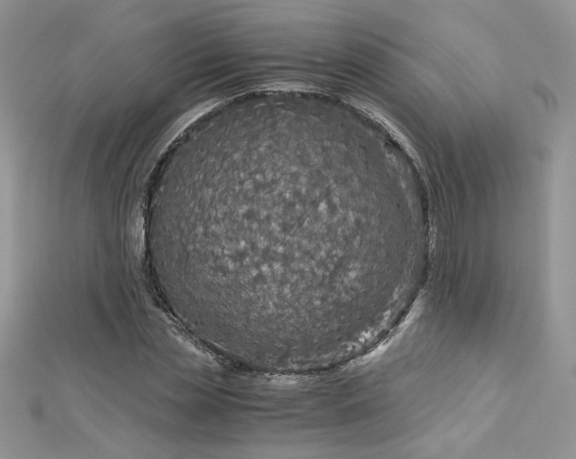 X0000113140829200909041207