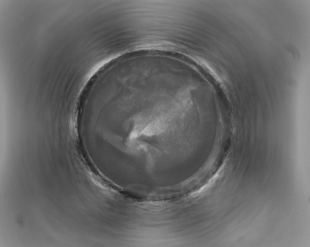 X0000113140830200909041207