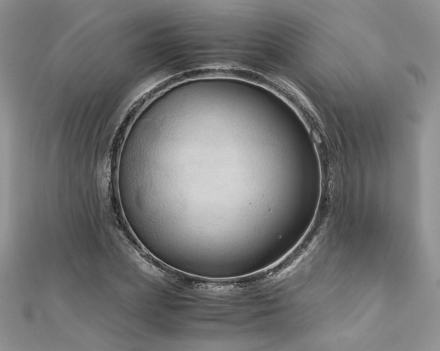 X0000113140831200909041207