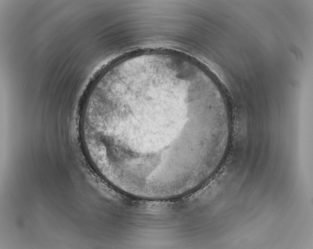 X0000113140832200909041207